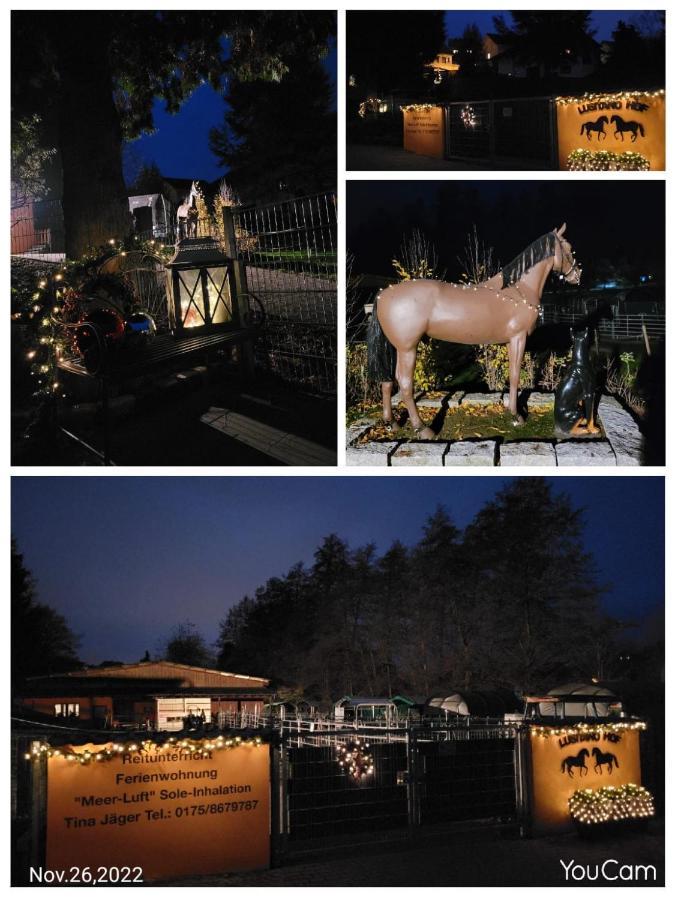 Ferienhaus Auf Dem Lusitanohof Jaeger Furth  Esterno foto